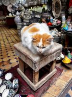 &copy; Kora Buggel (Eberhardt TRAVEL)