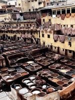 &copy; Kora Buggel (Eberhardt TRAVEL)