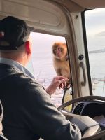 &copy; Kora Buggel (Eberhardt TRAVEL)