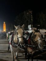 &copy; Kora Buggel (Eberhardt TRAVEL)