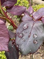 &copy; Kora Buggel (Eberhardt TRAVEL)