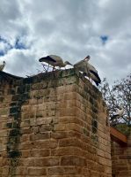 &copy; Kora Buggel (Eberhardt TRAVEL)