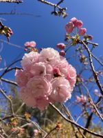 &copy; Kora Buggel (Eberhardt TRAVEL)