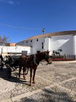 &copy; Kora Buggel (Eberhardt TRAVEL)