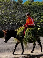 &copy; Kora Buggel (Eberhardt TRAVEL)