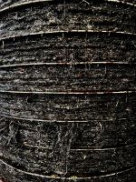 &copy; Kora Buggel (Eberhardt TRAVEL)