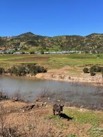 &copy; Kora Buggel (Eberhardt TRAVEL)