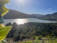 &copy; Kora Buggel (Eberhardt TRAVEL)