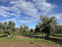 Marrakesh  &ndash; &copy; Francisco Javier Burgos Gutierrez (Eberhardt TRAVEL)
