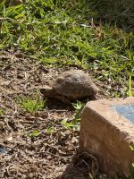 Marrakesh  &ndash; &copy; Francisco Javier Burgos Gutierrez (Eberhardt TRAVEL)