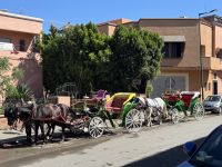 Marrakesh &ndash; &copy; Francisco Javier Burgos Gutierrez (Eberhardt TRAVEL)