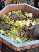 Marrakesh &ndash; &copy; Francisco Javier Burgos Gutierrez (Eberhardt TRAVEL)