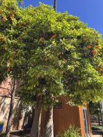 Marrakesh &ndash; &copy; Francisco Javier Burgos Gutierrez (Eberhardt TRAVEL)