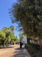 Marrakesh &ndash; &copy; Francisco Javier Burgos Gutierrez (Eberhardt TRAVEL)