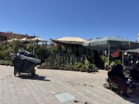 Marrakesh  &ndash; &copy; Francisco Javier Burgos Gutierrez (Eberhardt TRAVEL)