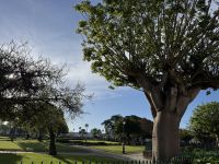 Rabat &ndash; &copy; Francisco Javier Burgos Gutierrez (Eberhardt TRAVEL)