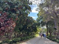 Rabat  &ndash; &copy; Francisco Javier Burgos Gutierrez (Eberhardt TRAVEL)