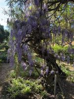 Rabat  &ndash; &copy; Francisco Javier Burgos Gutierrez (Eberhardt TRAVEL)