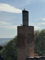 Rabat  &ndash; &copy; Francisco Javier Burgos Gutierrez (Eberhardt TRAVEL)