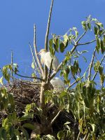 Rabat  &ndash; &copy; Francisco Javier Burgos Gutierrez (Eberhardt TRAVEL)