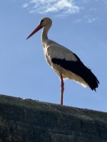Rabat  &ndash; &copy; Francisco Javier Burgos Gutierrez (Eberhardt TRAVEL)