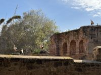 Rabat  &ndash; &copy; Francisco Javier Burgos Gutierrez (Eberhardt TRAVEL)