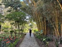 Rabat  &ndash; &copy; Francisco Javier Burgos Gutierrez (Eberhardt TRAVEL)