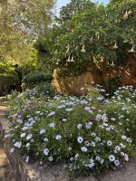 Rabat  &ndash; &copy; Francisco Javier Burgos Gutierrez (Eberhardt TRAVEL)