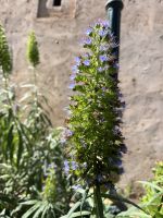 Rabat &ndash; &copy; Francisco Javier Burgos Gutierrez (Eberhardt TRAVEL)