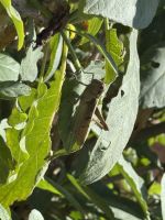 Rabat  &ndash; &copy; Francisco Javier Burgos Gutierrez (Eberhardt TRAVEL)