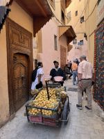 Meknes &ndash; &copy; Francisco Javier Burgos Gutierrez (Eberhardt TRAVEL)
