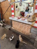 Fes  &ndash; &copy; Francisco Javier Burgos Gutierrez (Eberhardt TRAVEL)