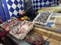 Fes  &ndash; &copy; Francisco Javier Burgos Gutierrez (Eberhardt TRAVEL)