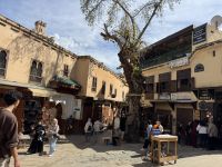 Fes  &ndash; &copy; Francisco Javier Burgos Gutierrez (Eberhardt TRAVEL)