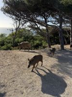 Tanger  &ndash; &copy; Francisco Javier Burgos Gutierrez (Eberhardt TRAVEL)