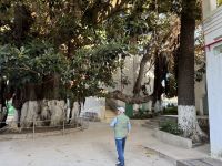 Tanger  &ndash; &copy; Francisco Javier Burgos Gutierrez (Eberhardt TRAVEL)