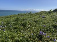 Gibraltar &ndash; &copy; Francisco Javier Burgos Gutierrez (Eberhardt TRAVEL)