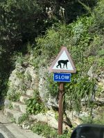 Gibraltar  &ndash; &copy; Francisco Javier Burgos Gutierrez (Eberhardt TRAVEL)