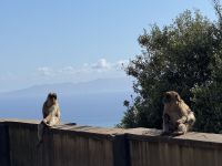 Gibraltar &ndash; &copy; Francisco Javier Burgos Gutierrez (Eberhardt TRAVEL)