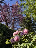 Ronda  &ndash; &copy; Francisco Javier Burgos Gutierrez (Eberhardt TRAVEL)