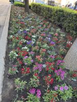 Sevilla  &ndash; &copy; Francisco Javier Burgos Gutierrez (Eberhardt TRAVEL)