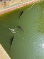 Sevilla  &ndash; &copy; Francisco Javier Burgos Gutierrez (Eberhardt TRAVEL)