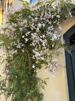 Sevilla &ndash; &copy; Francisco Javier Burgos Gutierrez (Eberhardt TRAVEL)