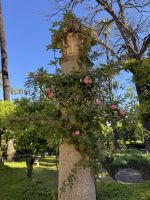 Sevilla  &ndash; &copy; Francisco Javier Burgos Gutierrez (Eberhardt TRAVEL)