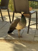 Sevilla  &ndash; &copy; Francisco Javier Burgos Gutierrez (Eberhardt TRAVEL)