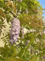 Sevilla  &ndash; &copy; Francisco Javier Burgos Gutierrez (Eberhardt TRAVEL)