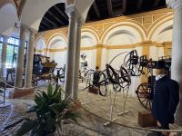 Sevilla  &ndash; &copy; Francisco Javier Burgos Gutierrez (Eberhardt TRAVEL)