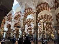 Córdoba  &ndash; &copy; Francisco Javier Burgos Gutierrez (Eberhardt TRAVEL)