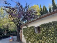 Granada  &ndash; &copy; Francisco Javier Burgos Gutierrez (Eberhardt TRAVEL)