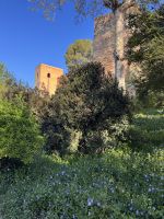 Granada  &ndash; &copy; Francisco Javier Burgos Gutierrez (Eberhardt TRAVEL)